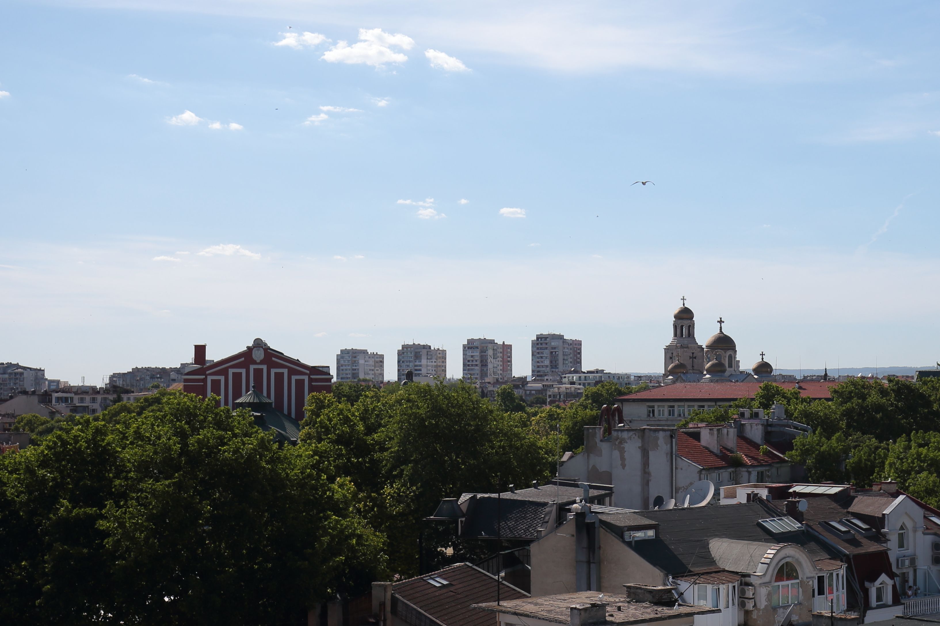 Foto - Hostel Musala