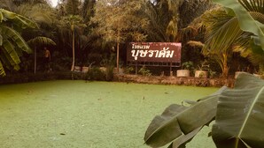 A pond with green water, surrounded by tropical plants and a sign in a foreign language.