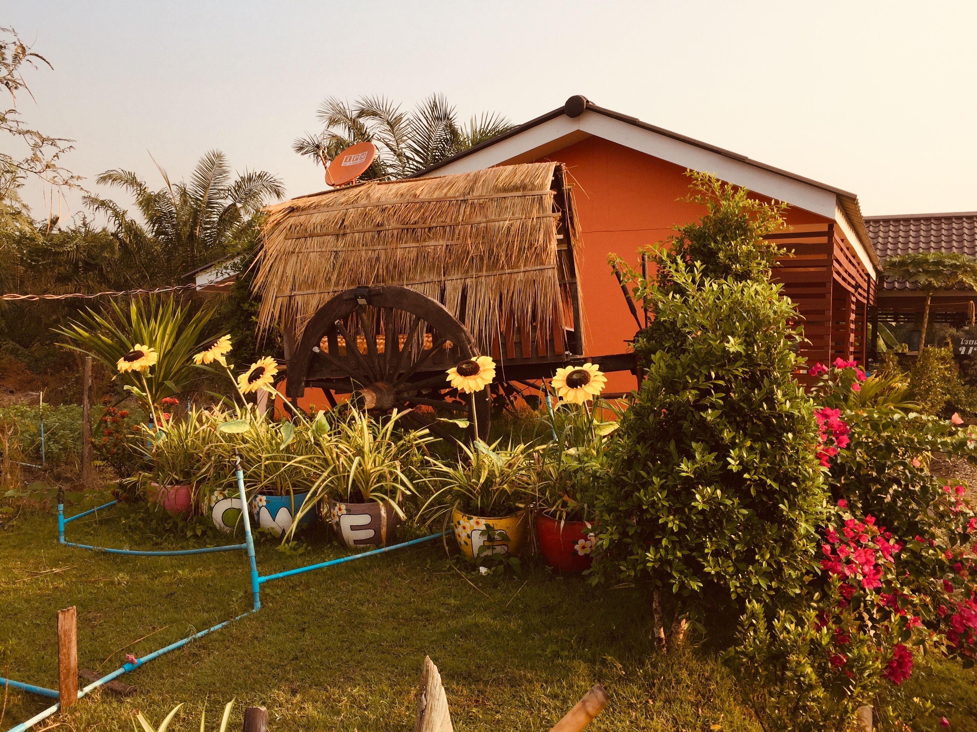 A rustic house with a thatched roof, surrounded by a garden with sunflowers and flowering plants.