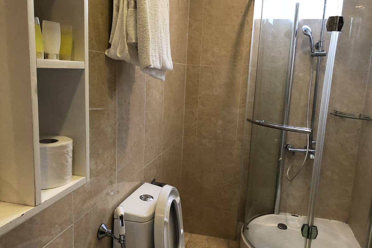 shower, free toiletries, hair dryer, slippers