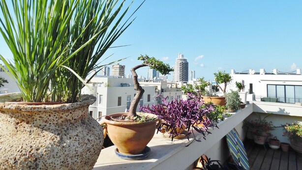 A rooftop garden with various potted plants, a cityscape view, and a clear blue sky. - Super Central Stunning Roof 2BR Apt (Tel Aviv)