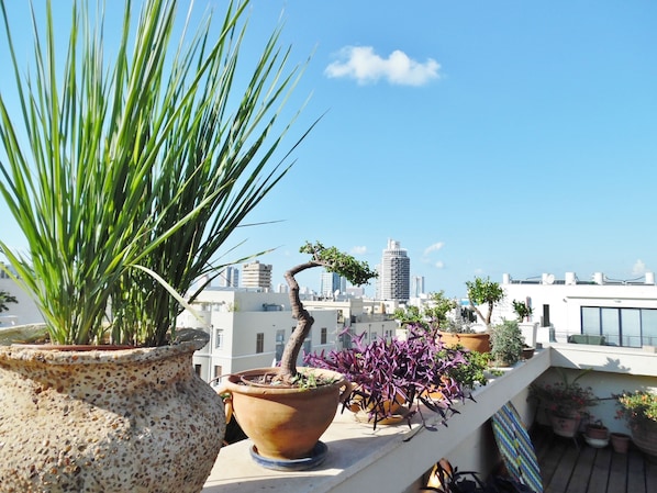 Vista da propriedade