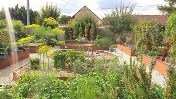 A garden with raised beds, a variety of plants, and a building in the background.