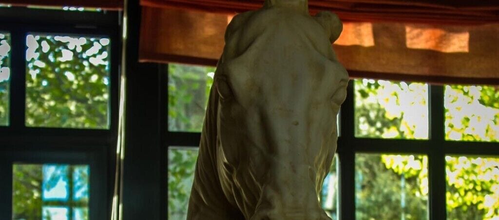 Foto - Hotel Sara De Ur