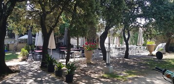 Un patio al aire libre con mesas y sillas, rodeado de árboles y plantas en macetas.