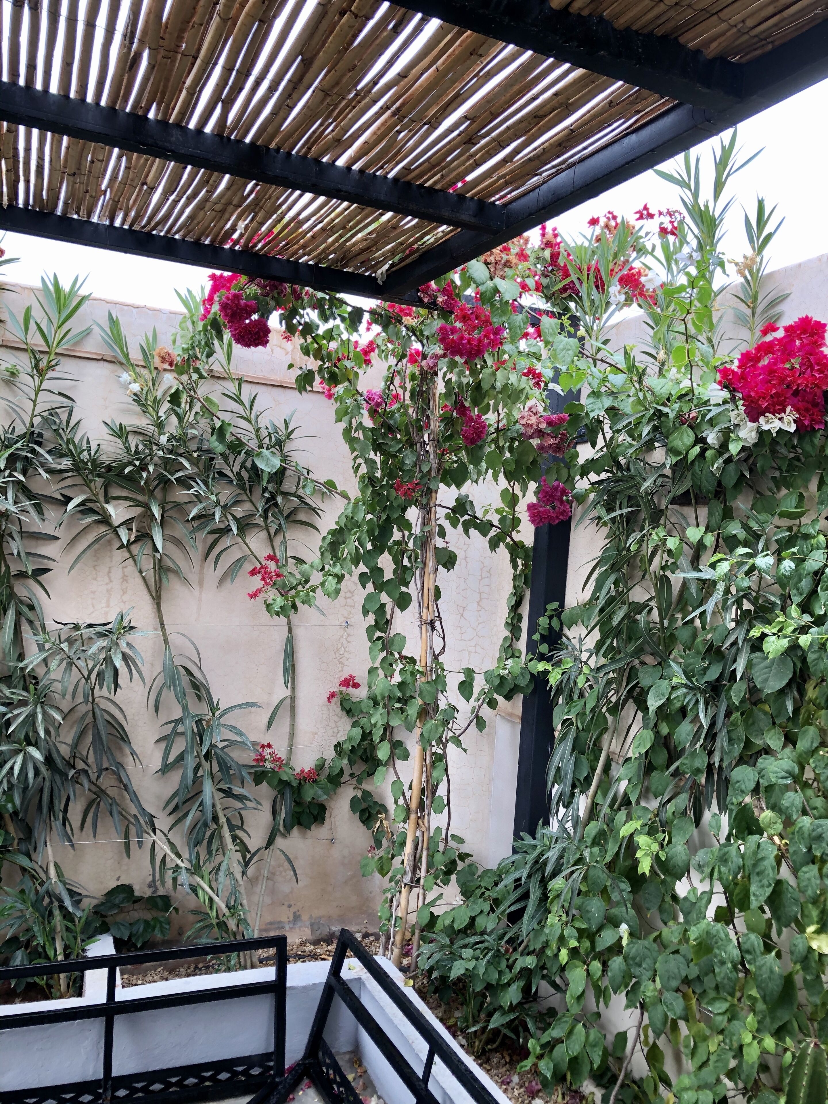 Photo - Riad Bellamane Marrakech