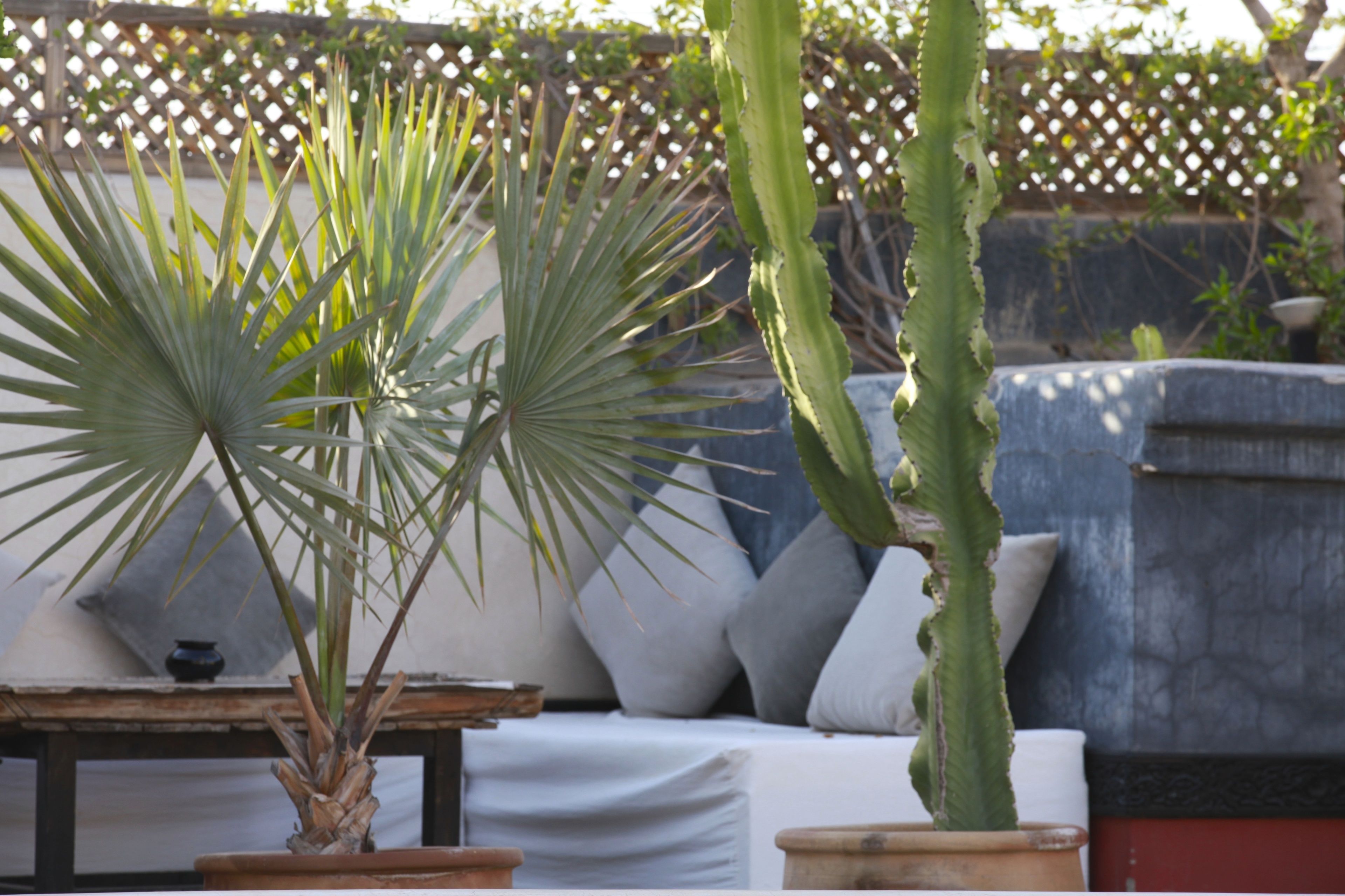 Photo - Riad Bellamane Marrakech