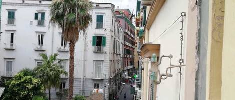 A narrow street with buildings on both sides, a palm tree, and parked scooters.
