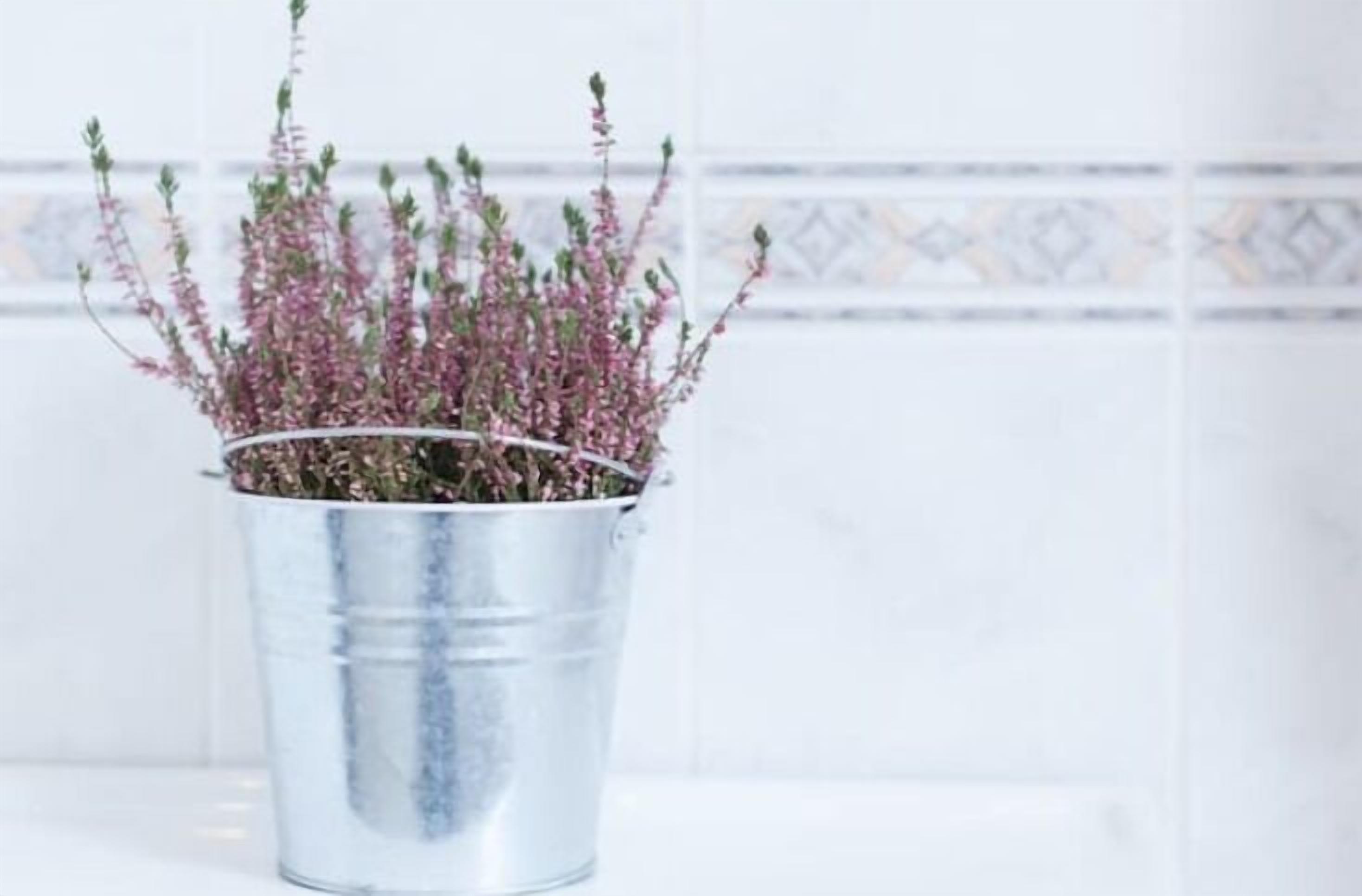 Foto - Home2Home-Rooms