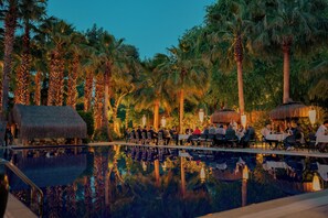 ランチ、ディナーに営業 (トルコ料理)