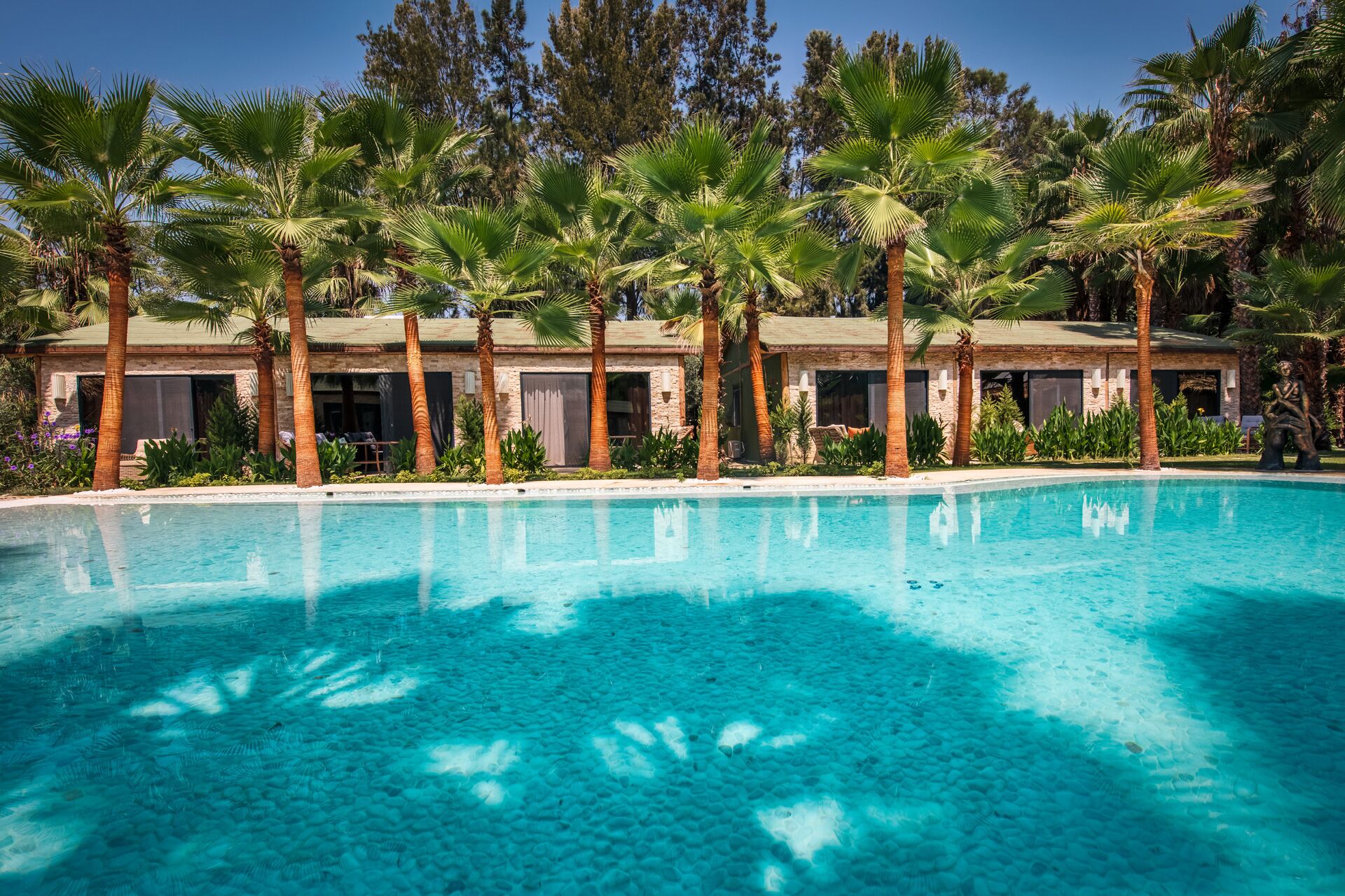 واجهة المنشأة