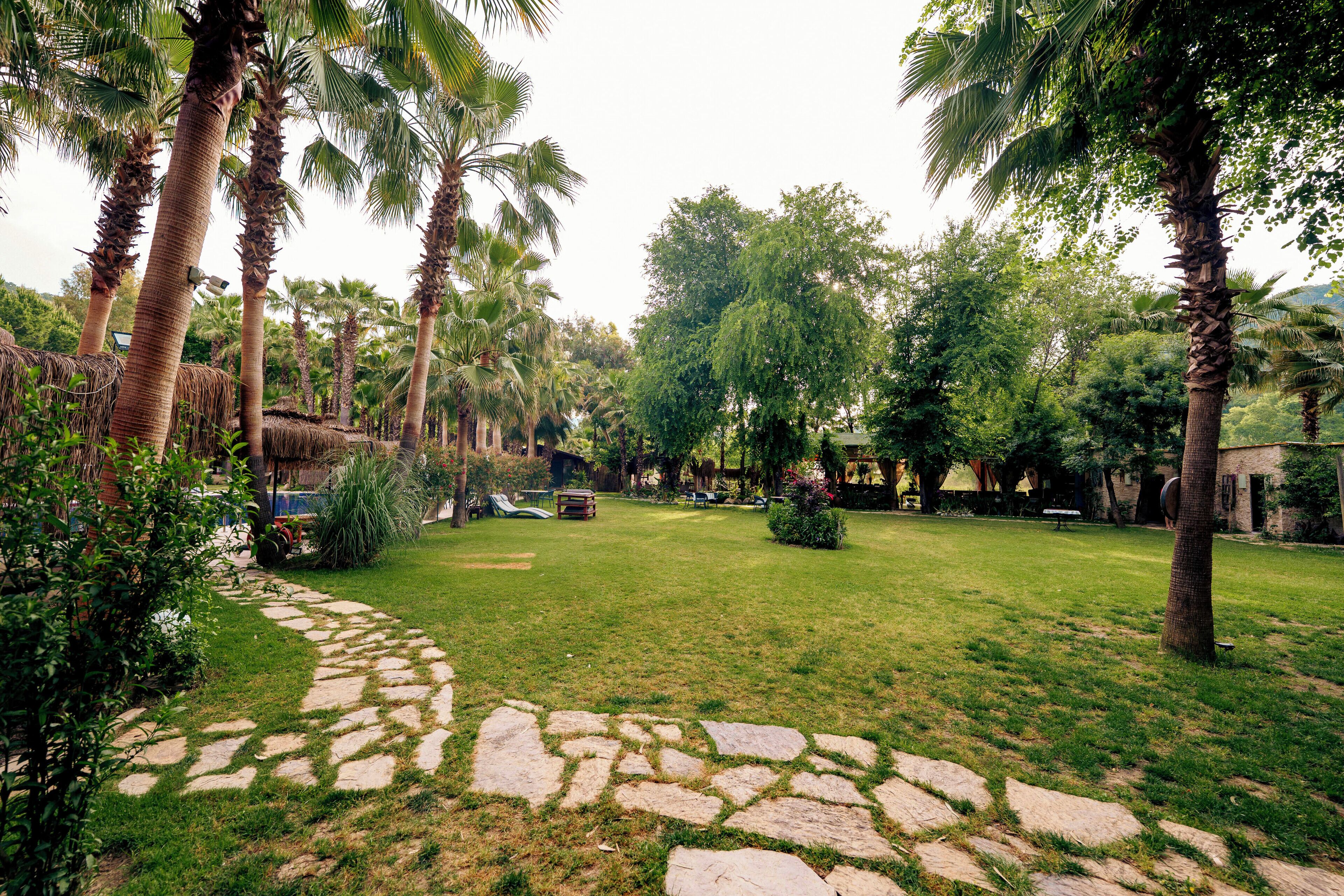 Ein Garten mit Kiesweg, Palmen und einer Rasenfläche.
