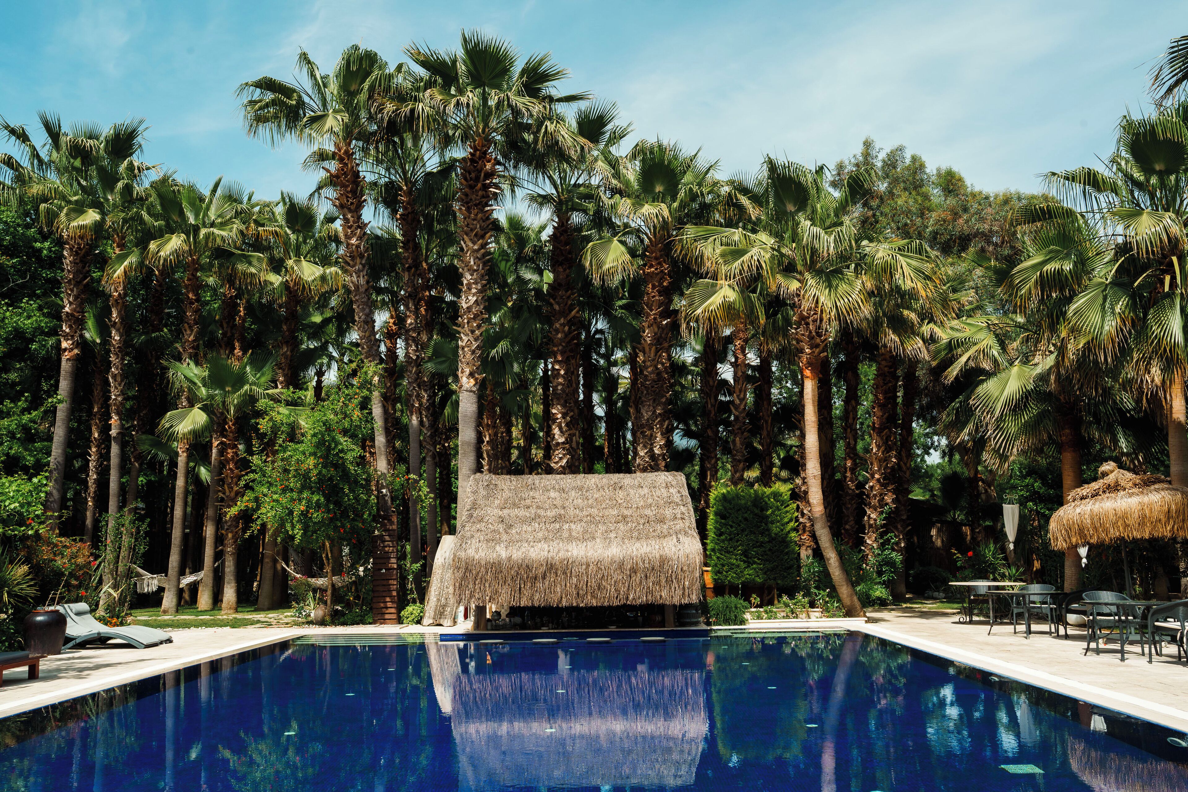 Una piscina rodeada de palmeras y una estructura con techo de paja.