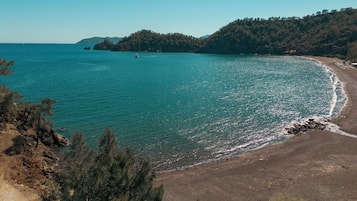 Beach nearby, black sand