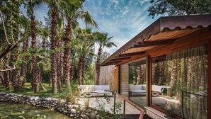 Une maison moderne avec une façade en verre, un chemin de pierre menant à un étang parsemé de nénuphars, et une végétation tropicale luxuriante.