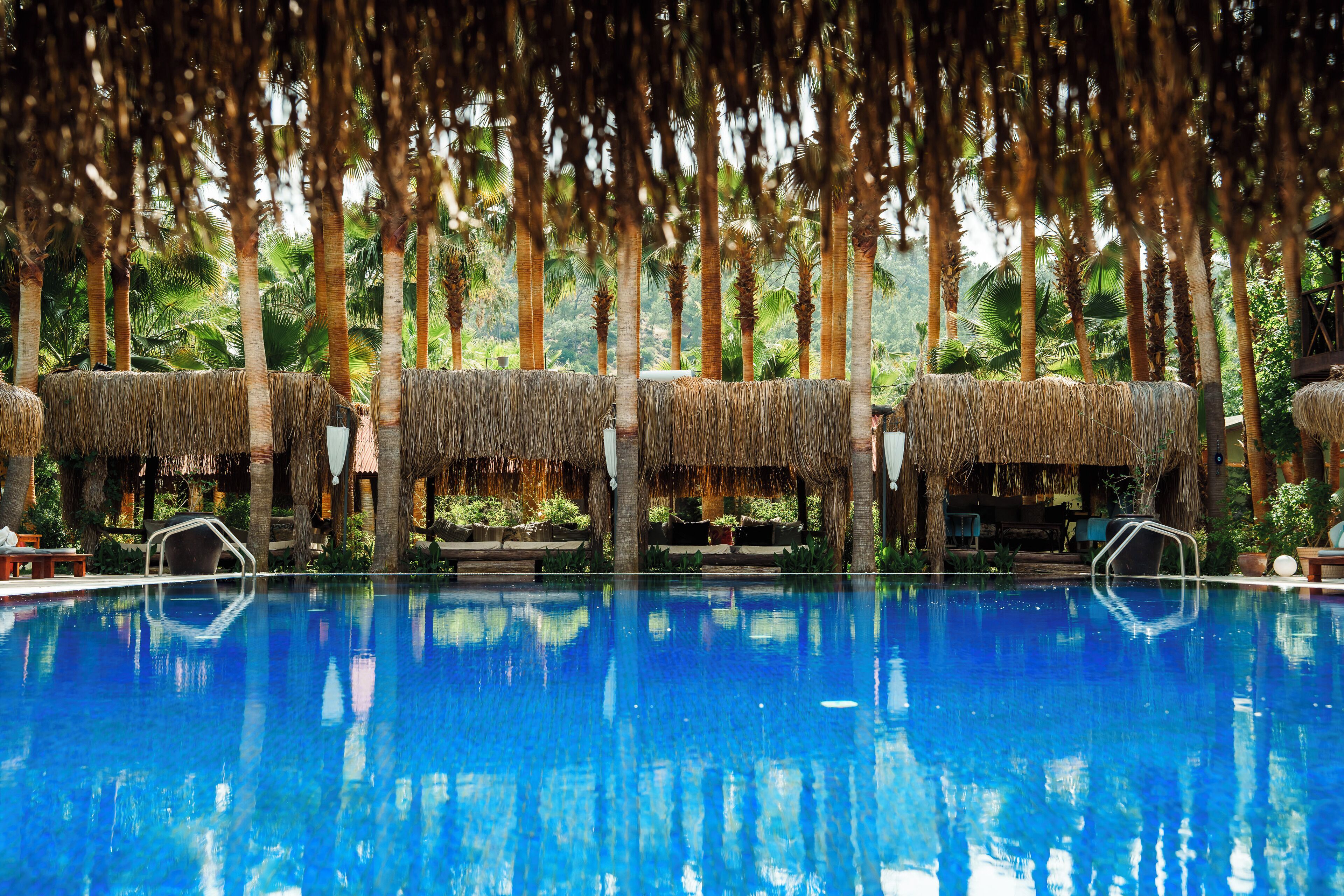 A pool with thatched umbrellas and lounge chairs, surrounded by palm trees.