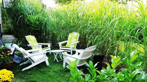 A garden with white chairs and a table, surrounded by lush greenery and plants. - Strandnest Büsum (Büsum)