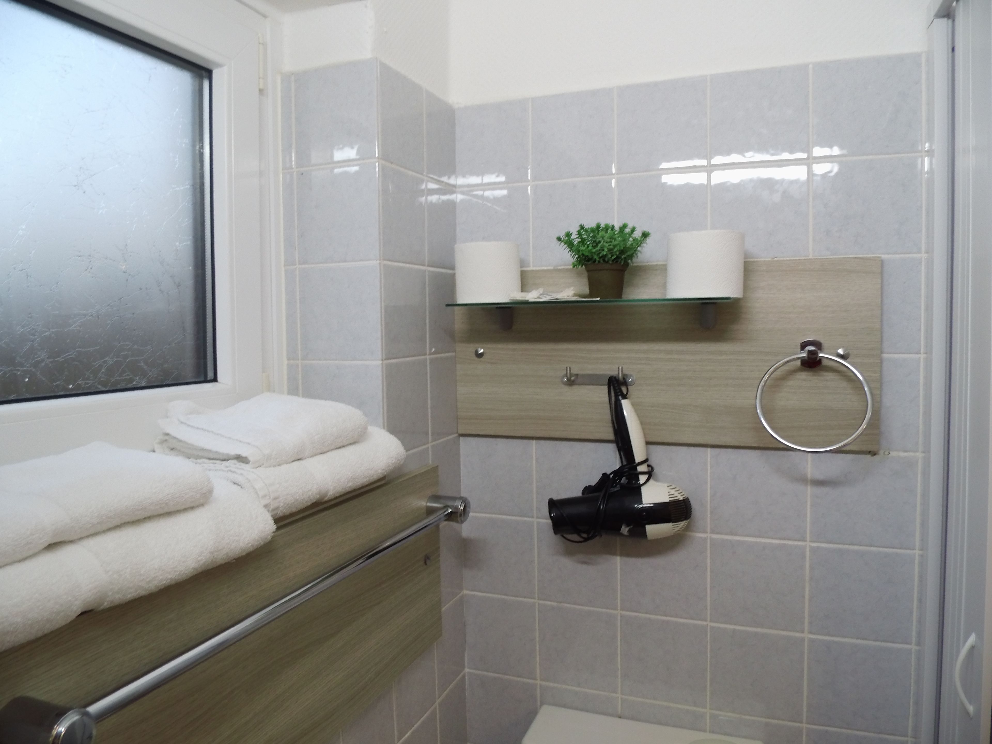 A bathroom with a glass shower enclosure, a towel rack with folded towels, a toilet paper holder, and a small potted plant on a shelf.