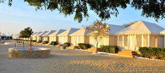 Oasis Camp Sam