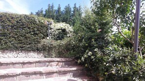 Una escalera de piedra que sube hacia un muro de piedra, rodeada de arbustos y árboles frondosos.