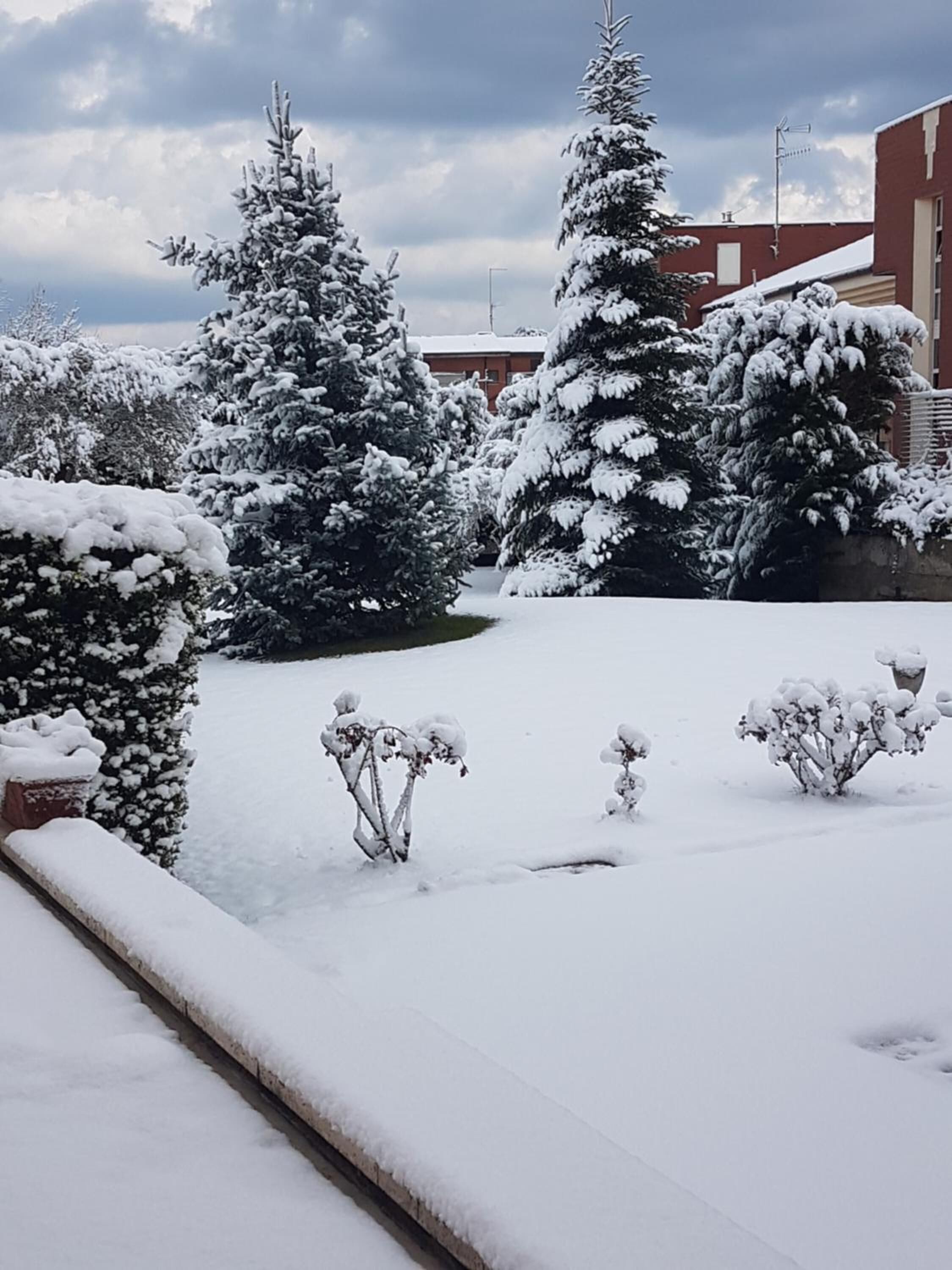 A snow-covered garden with evergreen trees and a brick building in the background.