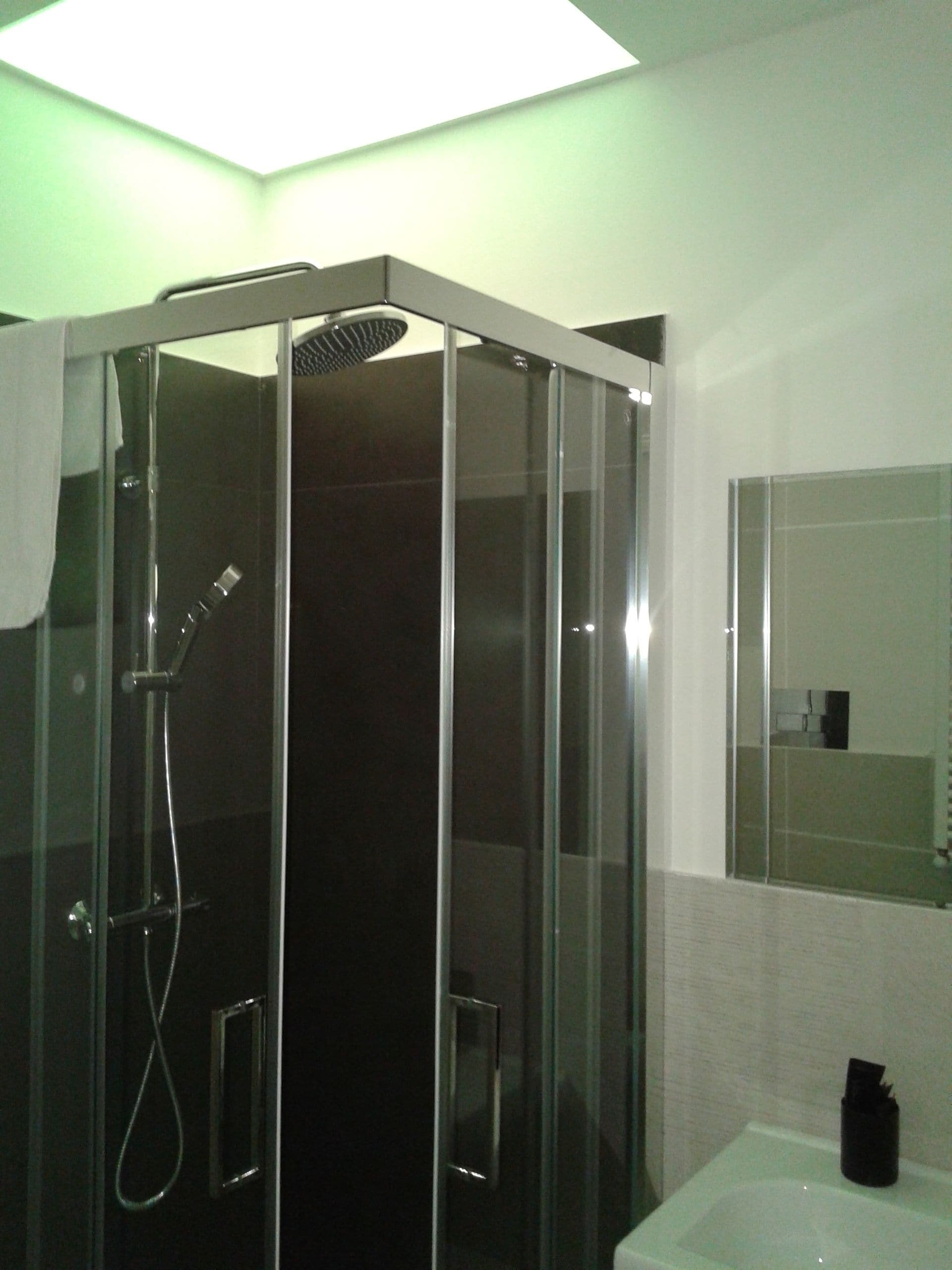 A modern bathroom with a glass-enclosed shower, a white sink, and a mirror above it.