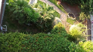 Vista desde la propiedad
