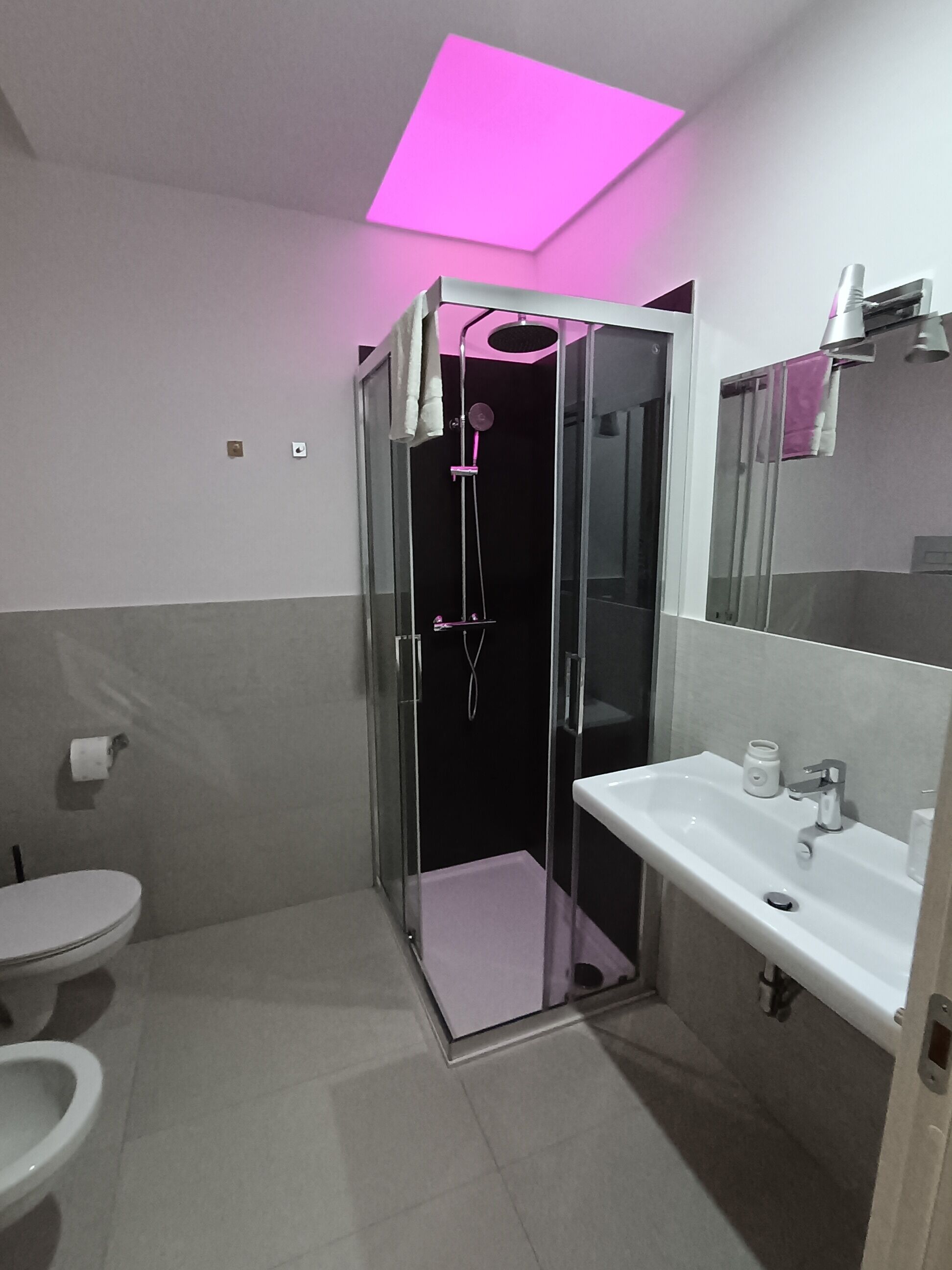 Un baño moderno con ducha envuelta en vidrio, un lavamanos blanco y un inodoro.