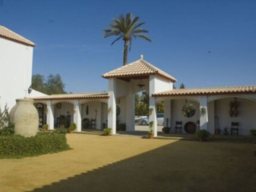 A courtyard with a central gazebo, white walls, and a palm tree.