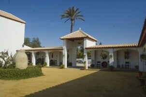 A courtyard with a central gazebo, white walls, and a palm tree.