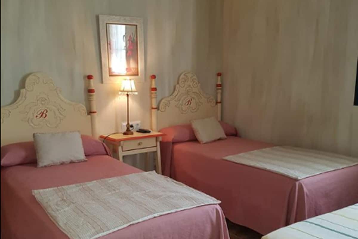 Escritorio, tabla de planchar con plancha, wifi gratis y ropa de cama