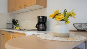 Comfort-Apartment, barrierefrei | Eigene Küche | Kühlschrank, Herdplatte, Wasserkocher mit Kaffee-/Teezubehör