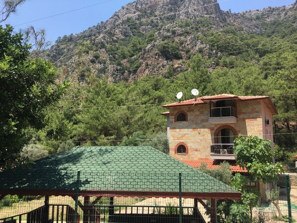Mountain view