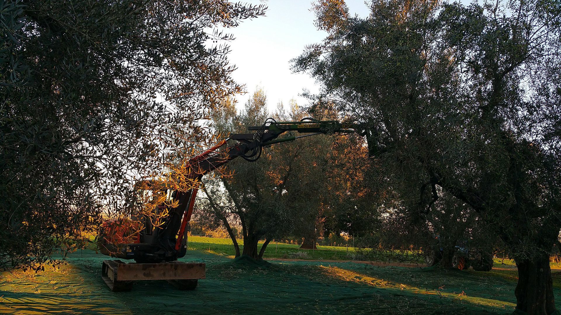 An excavator in a wooded area.