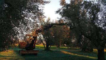 An excavator in a wooded area.