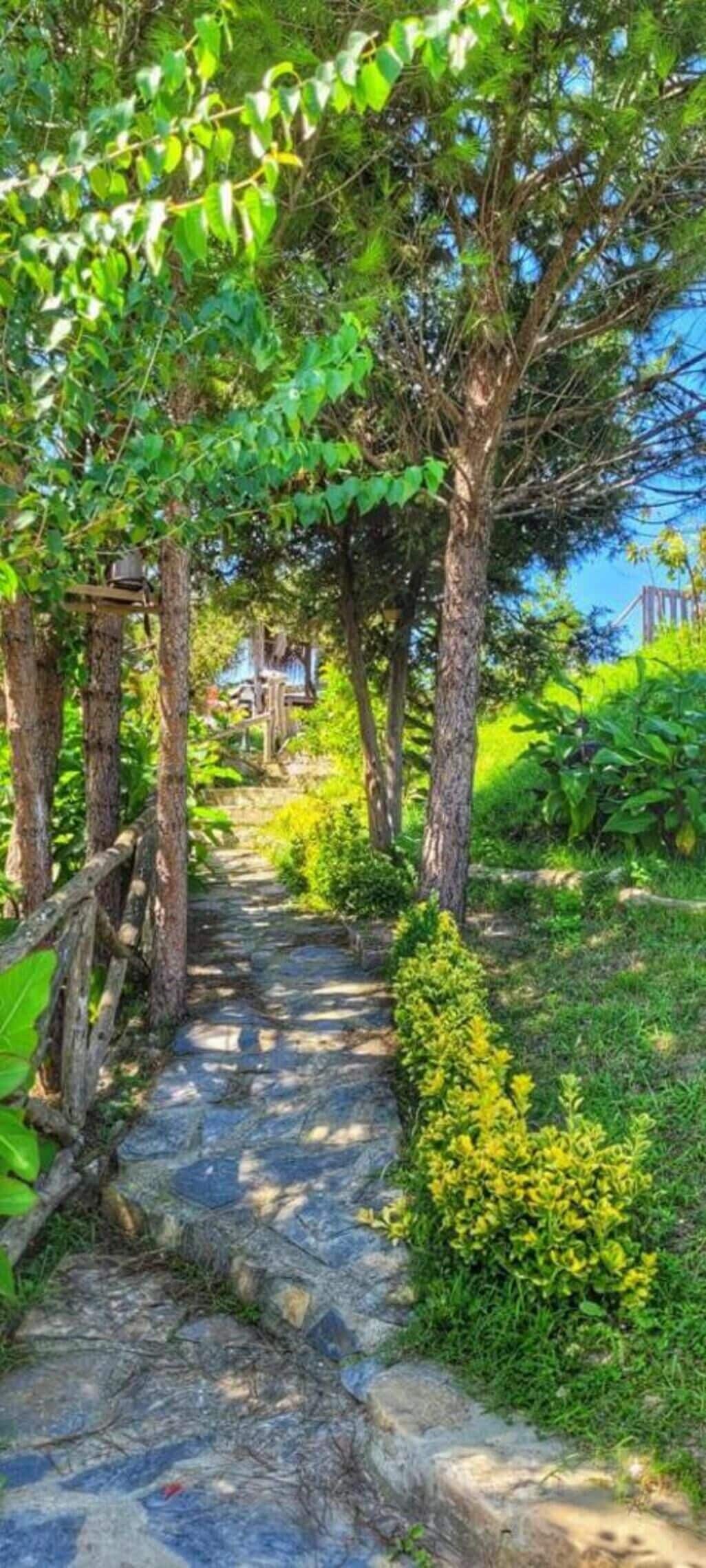 A stone pathway surrounded by lush greenery and trees.