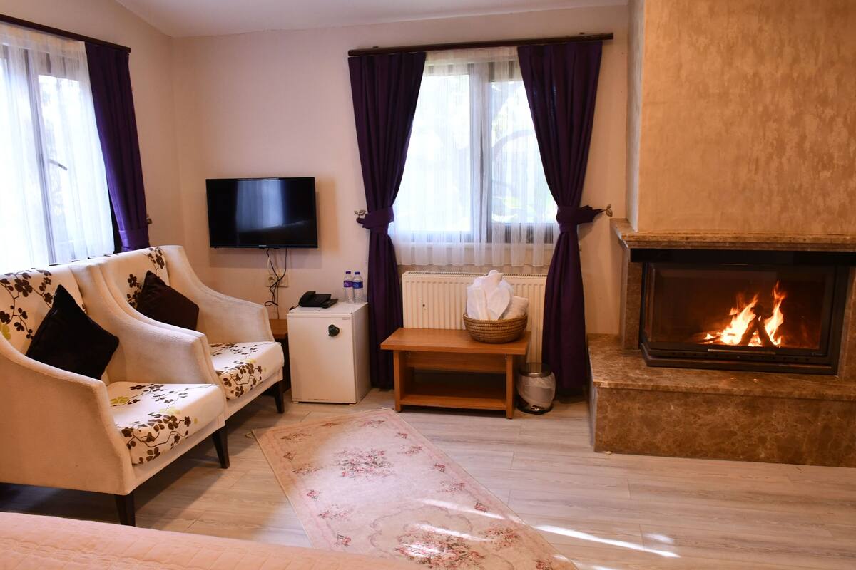 A living room with a sofa, a television, a fireplace, and a radiator.