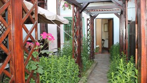 Un espacio al aire libre cubierto con una pérgola de madera, un sendero empedrado y abundante vegetación.