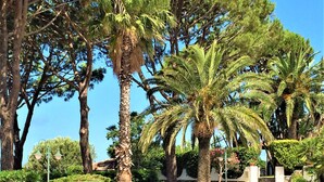 Une piscine à l’eau d’un bleu cristallin, entourée de palmiers et d’autres plantes vertes.