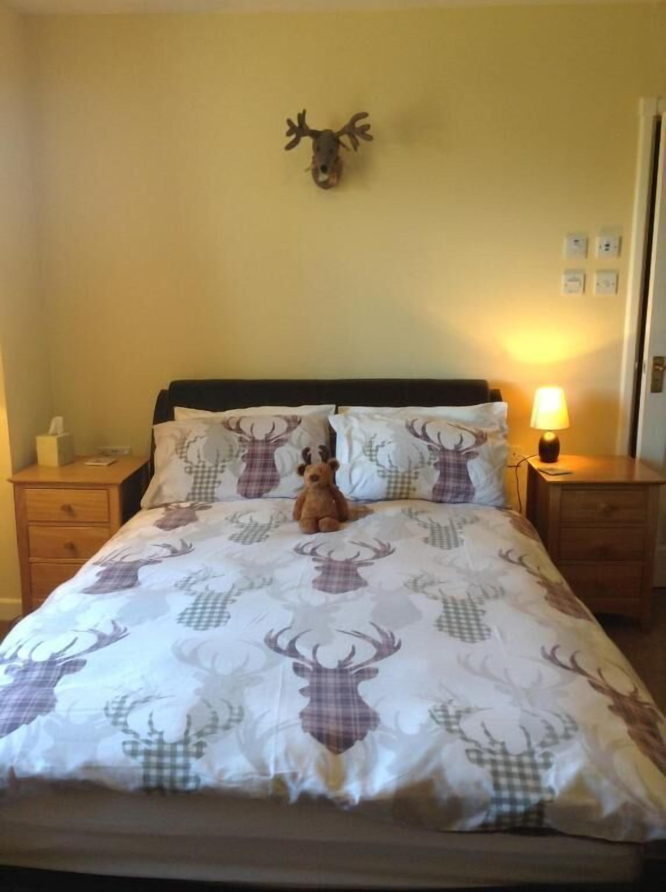 Een bed met een deken met hertenprint, een aan de muur bevestigd hertenhof en een teddybeer op het bed.