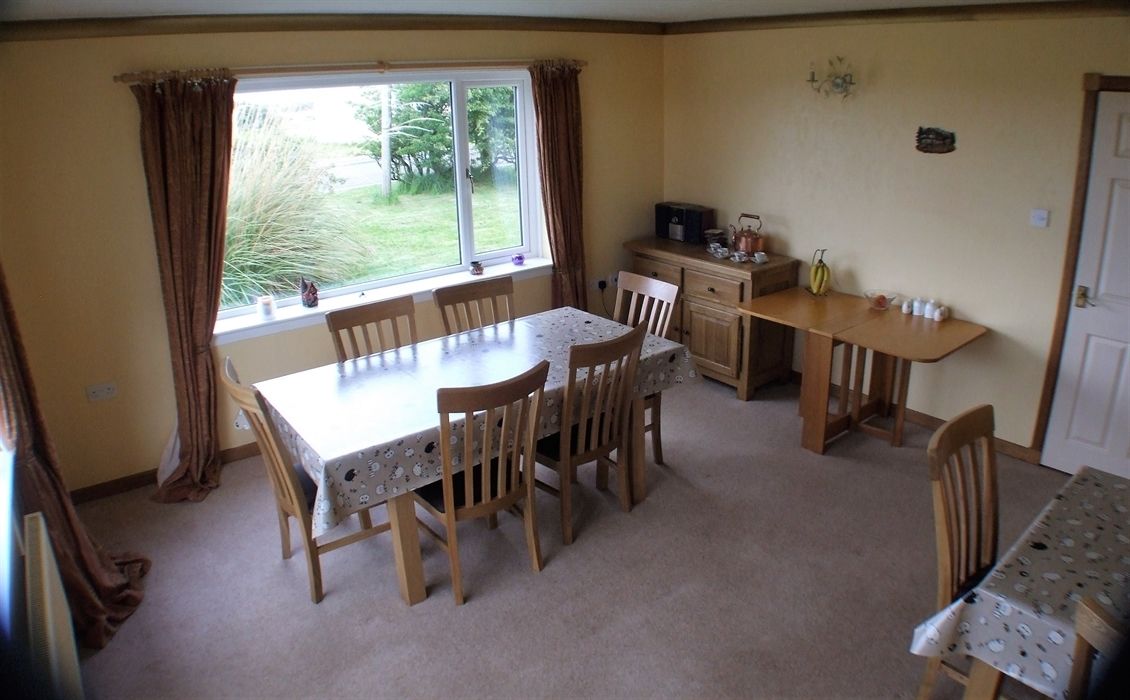 A dining area with a table and chairs, a kitchen area with a counter and appliances, and a window with curtains.