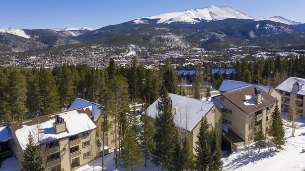 Zona residencial con tejados y edificios cubiertos de nieve, rodeada de bosques densos y montañas al fondo.