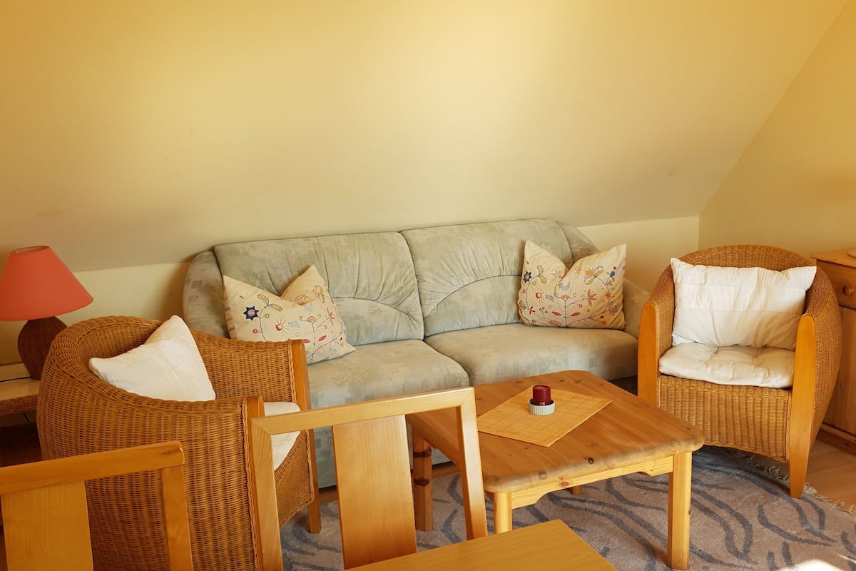 Apartment, 1 Bedroom (Attic, Nr. 10)