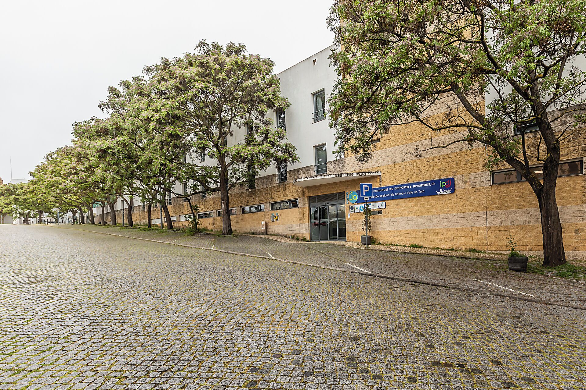 Vista frontal de la propiedad