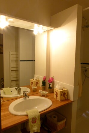 Doppia Classic, bagno in camera, vista cortile (3 épis) | Bagno | Doccia, soffione a pioggia, set di cortesia gratuito, asciugacapelli