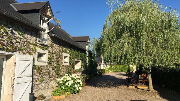 A stone building with ivy, a gravel path, and a large tree. - La Ferme de Marpalu (La Ferte-Saint-Cyr)