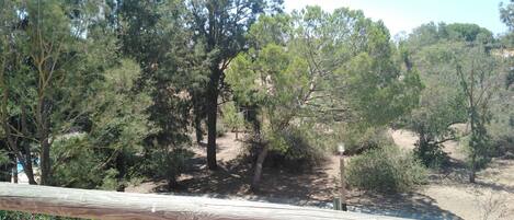 A wooden fence with a dirt path and trees in the background.