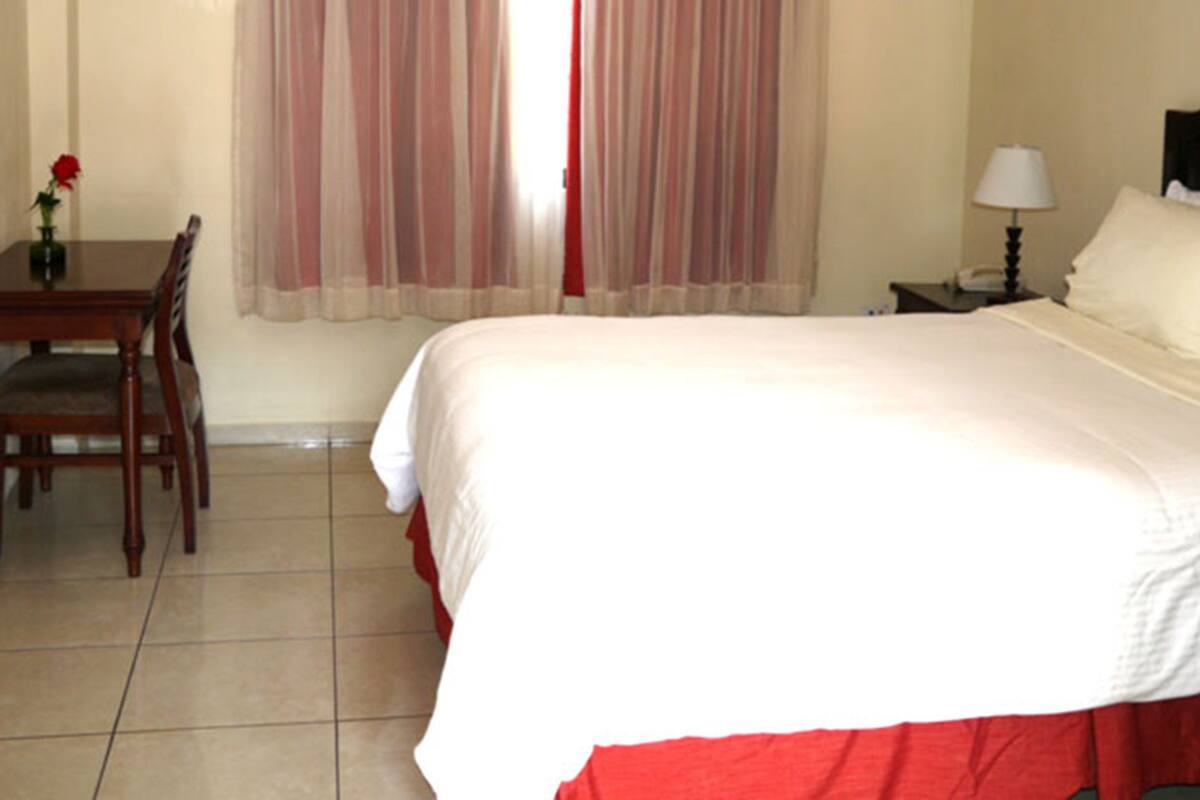 Habitació d'hotel amb un llit, una taula de nit, una làmpada, una cadira, una taula petita i un vas amb una flor.