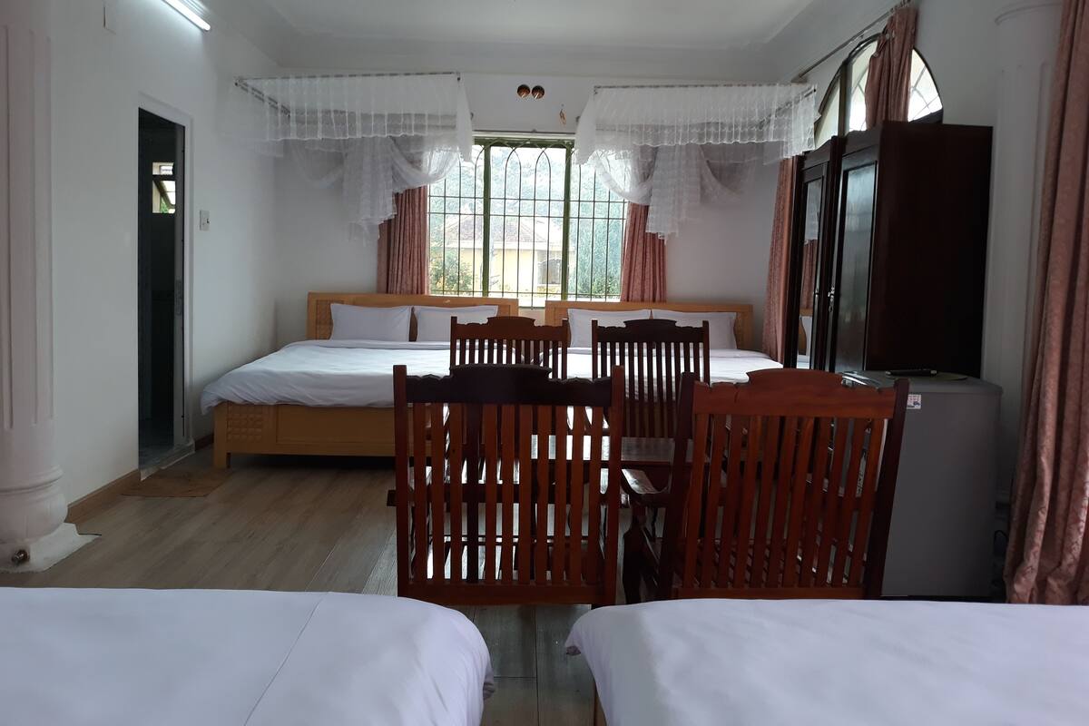 Habitación de hotel con cama, dos sillas de madera, una mesita, televisor y ventana con cortinas.