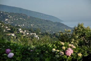 Property grounds - Stilvi (Zagora-Mouresi)